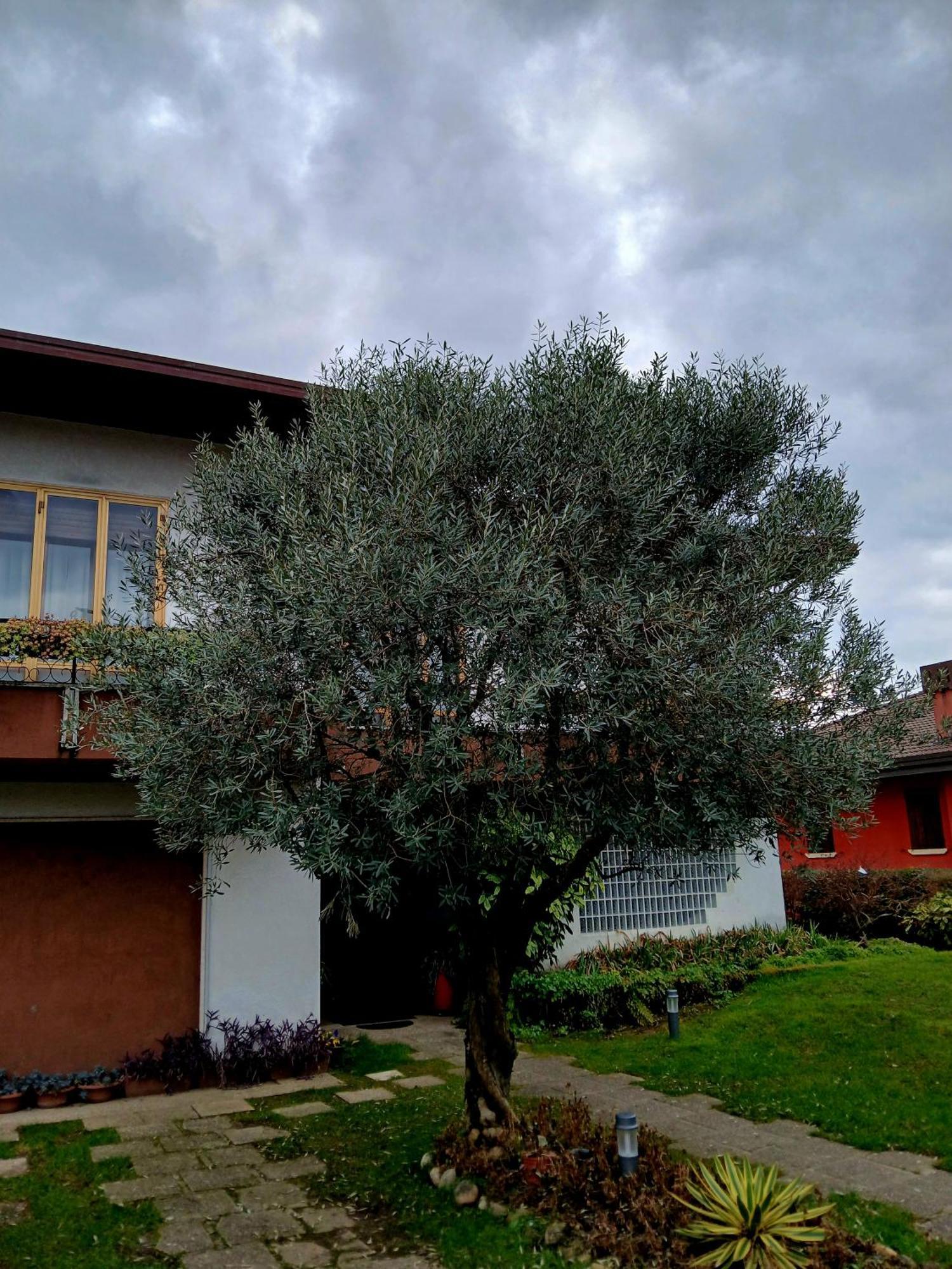B&B Ponte Marchese Caldogno Eksteriør billede