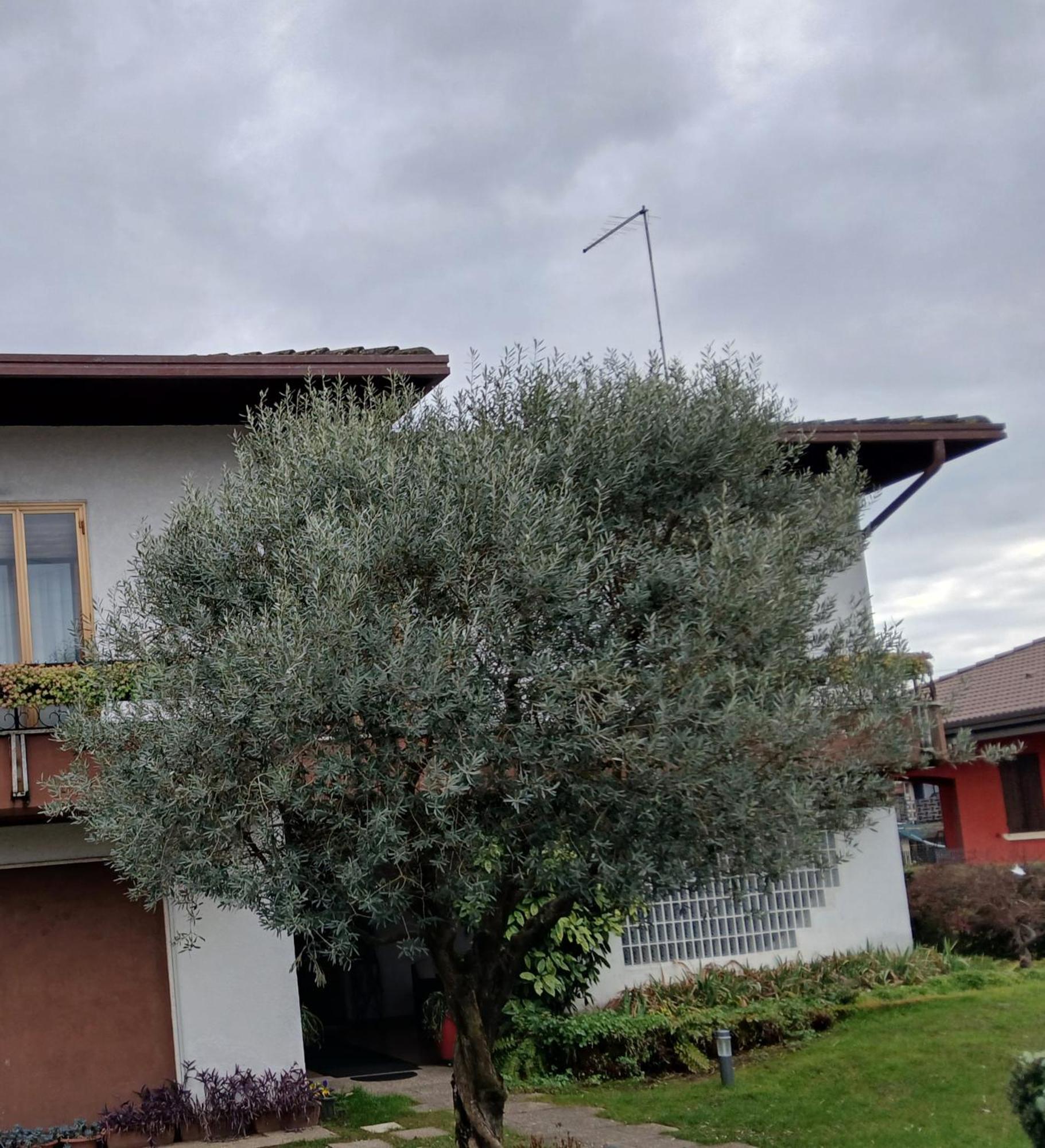 B&B Ponte Marchese Caldogno Eksteriør billede